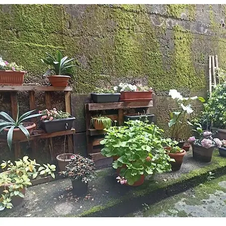 דירה Casa Lu' Bosisio Parini